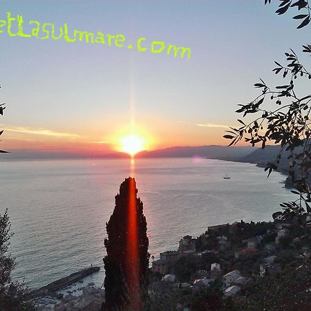 Villetta Sul Mare Camogli Eksteriør billede