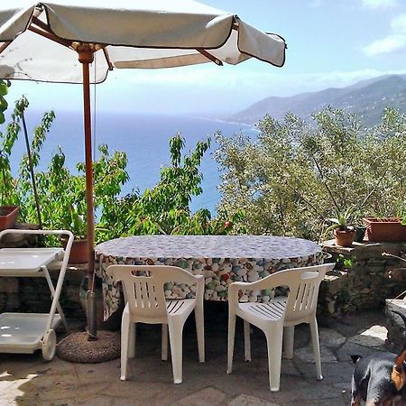 Villetta Sul Mare Camogli Eksteriør billede