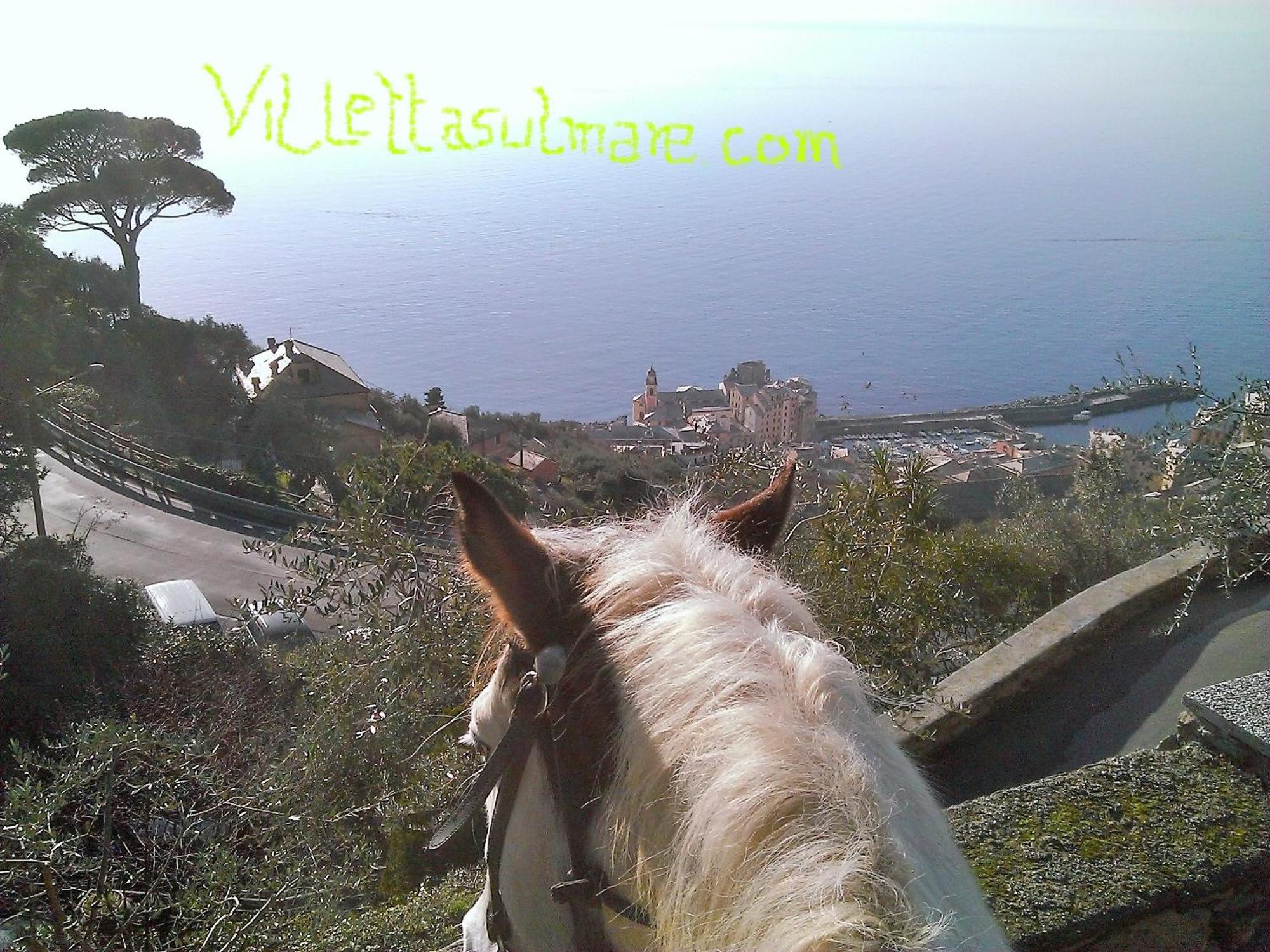 Villetta Sul Mare Camogli Eksteriør billede