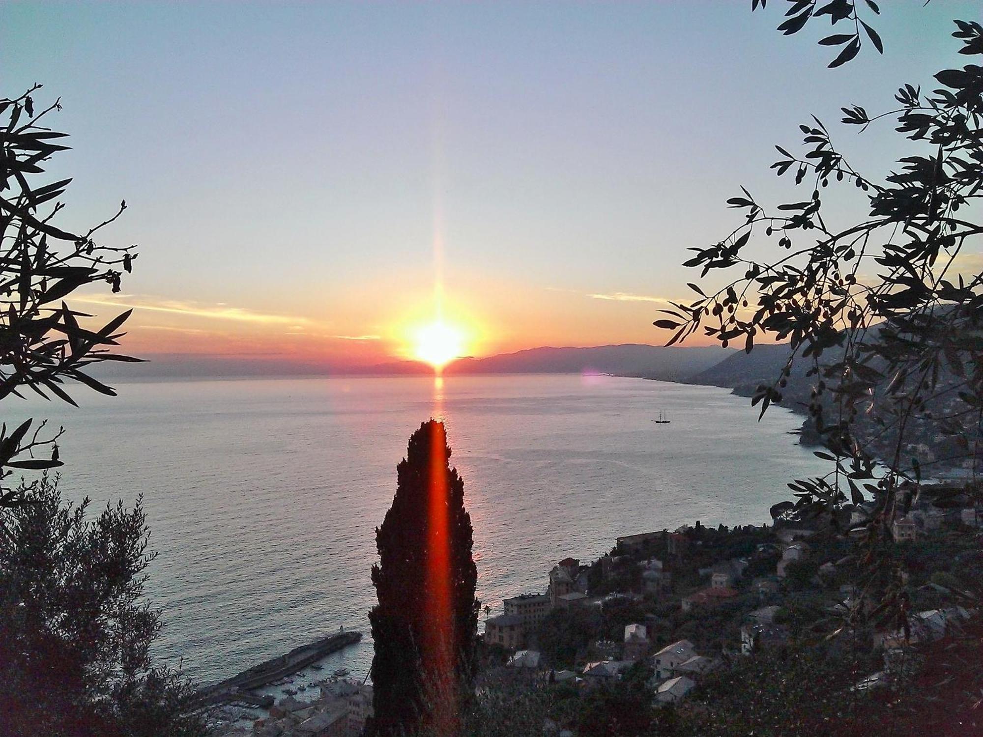 Villetta Sul Mare Camogli Eksteriør billede